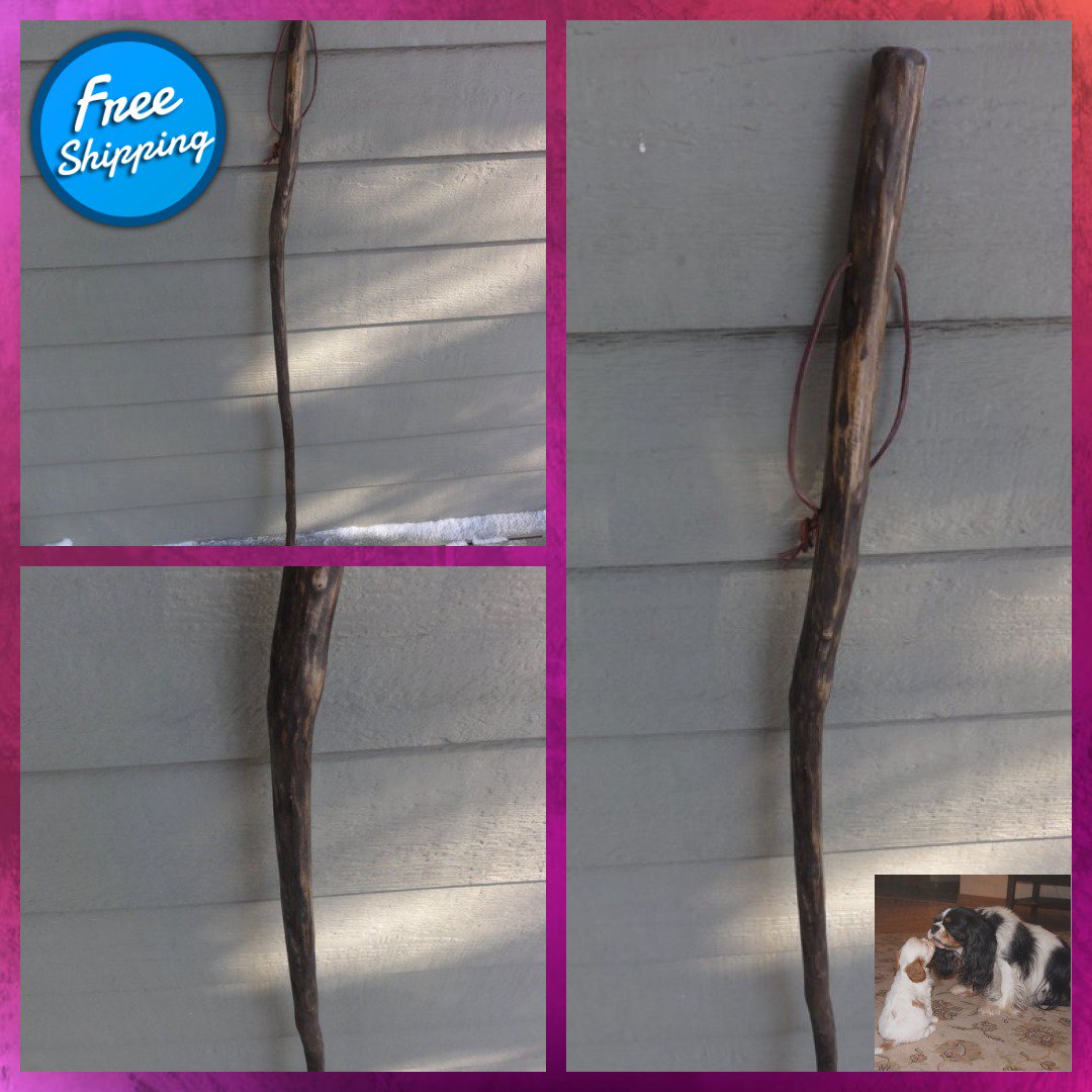 gfischer4's tweet photo. Red Pine Walking Stick ( Stained ) 54 in x 1 1/4 in x 1 in Great for trails..rubber bottom, leather strap #AdventureTimeFun #ParkAndRecreation 
Buy here https://t.co/6NvQtCAtgX https://t.co/D3ysJT46FX