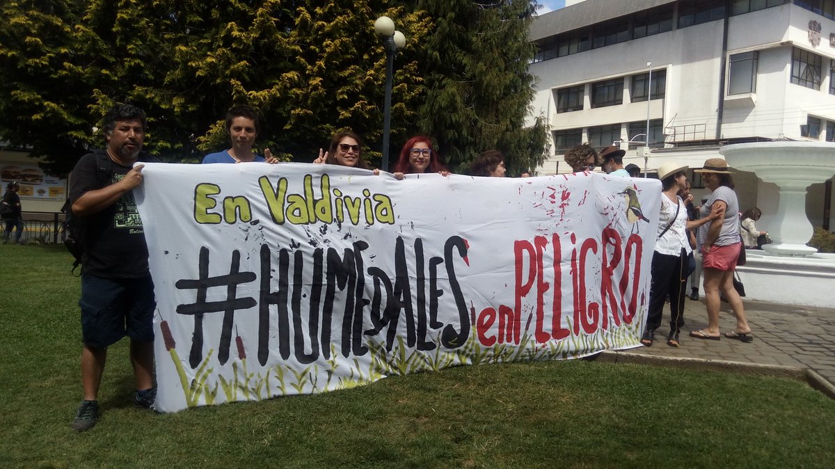 Estamos en el aniversario de Valdivia...con una sola voz
#humedalesenpeligro 
<a href="/biobio/">BioBioChile</a> 
<a href="/rioenlinea/">RioenLinea</a> 
<a href="/RedCiuHumedales/">RedCiudadanaHumedal</a> 
<a href="/radiopilmaiquen/">Radio Pilmaiquen</a> 
<a href="/austral_losrios/">Diario Austral</a> 
<a href="/AEPatagonica/">AEPatagónica</a> 
<a href="/clauspazguzman/">claupax</a> 
<a href="/UAustraldeChile/">Universidad Austral de Chile</a> 
<a href="/ecruztagle/">Ec</a> 
<a href="/adeurresti/">Alfonso De Urresti</a>