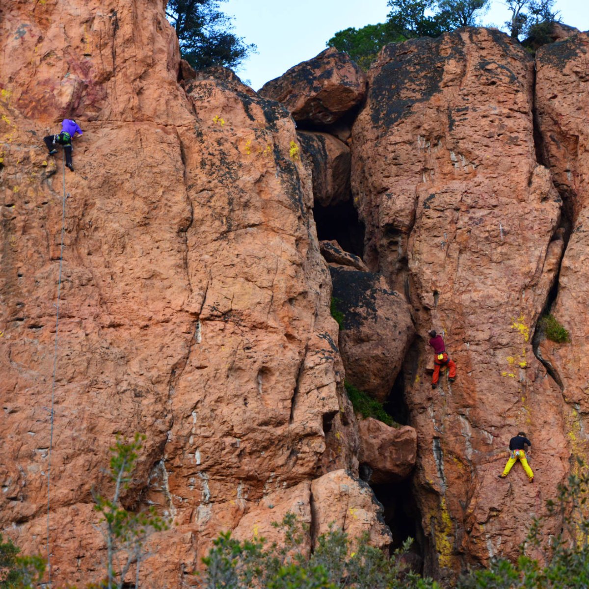 🧗‍♀️🔨⛓️ Le Projet Rééquipement Greenspits dans les Gorges du Blavet c'est la semaine prochaine ! Des experts rencontrent des jeunes apprentis rééquipeurs pour travailler ensemble #RééquipementGreenspits

<a href="/Outdoor_Valley/">OutdoorSportsValley</a> <a href="/petzl_fondation/">Petzl Fondation</a> @Peguet @YYVertical @HOKAONEONE <a href="/JeGrimpe/">JeGrimpe.com</a>