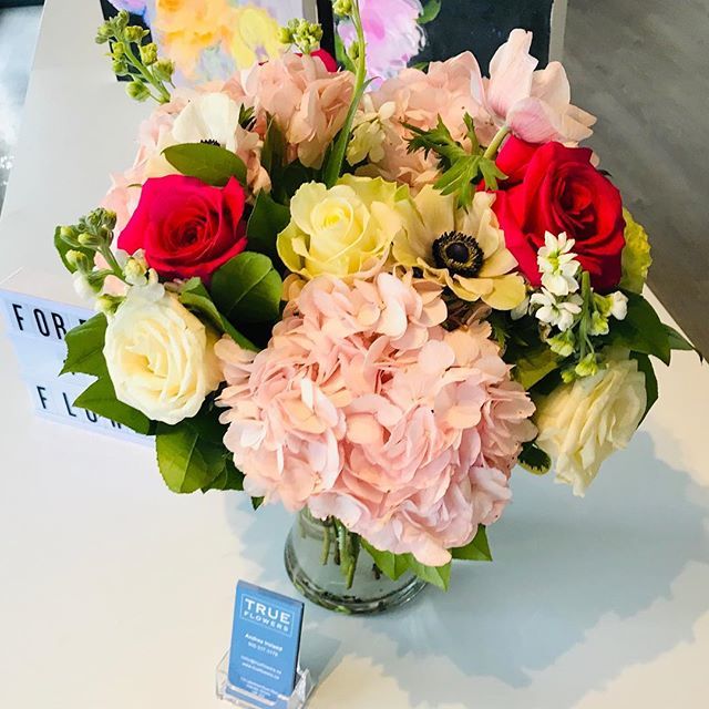 In2artOakville's tweet photo. Happy Saturday 🌸 be sure to pop in today and enter to win this beautiful arrangement from @trueflowers Oakville newest and best Floral shop ! https://t.co/1YMQ3TQUlx
the lucky winner will be notified by 3:00pm today !
Good luck ☘️ https://t.co/EtoXzswGwa https://t.co/Lj6UFtxkUA