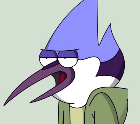 NovsGo tweet picture