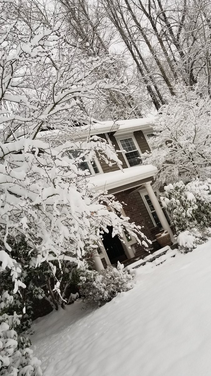 ryjammers's tweet image. Winter wonderland!