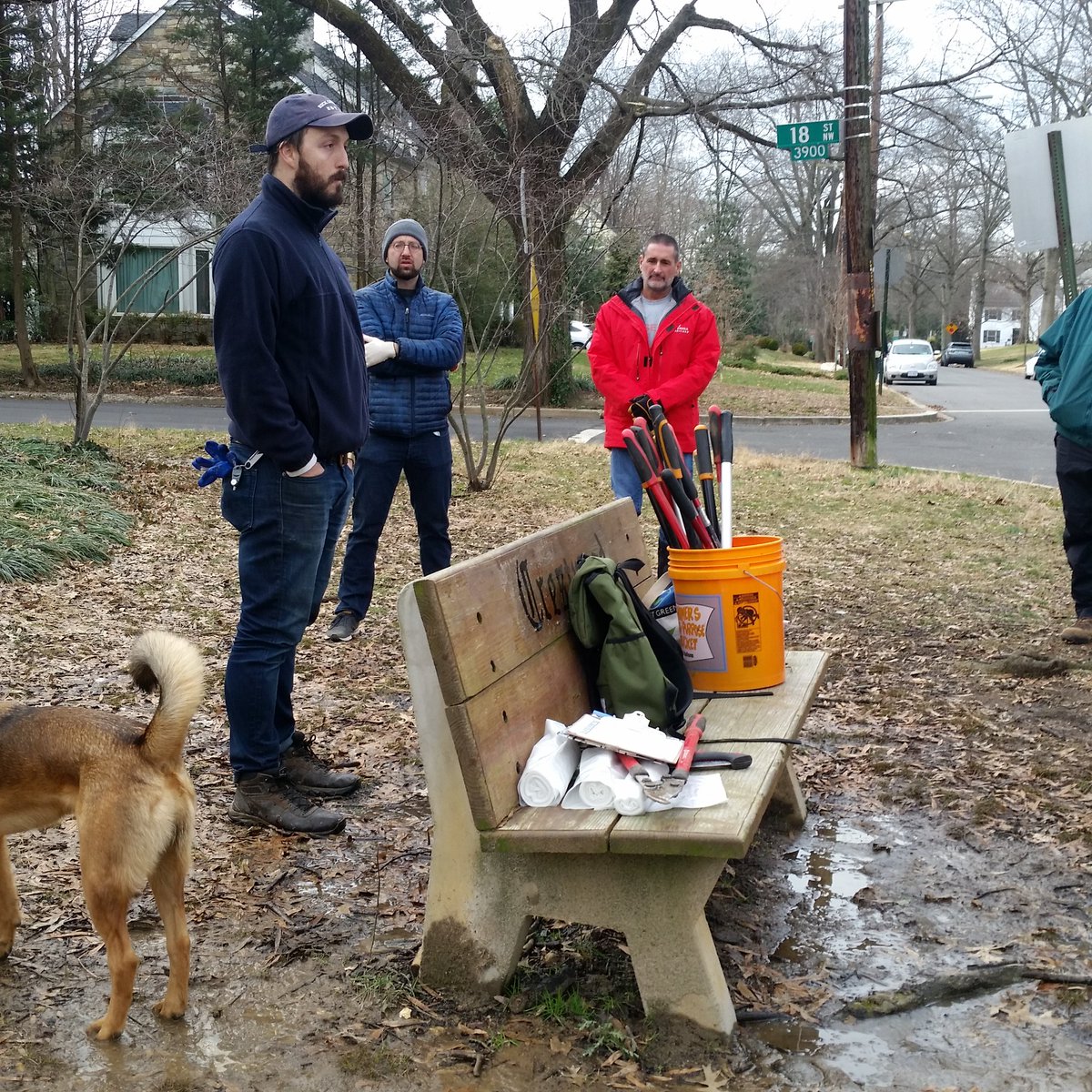YogaHikes's tweet photo. Got 3 hours? Get some fresh air! #Volunteer with @LoveRockCreek learn about plants, meet new people, attack some vines! #conservationisfun @RockCreekNPS https://t.co/8PhCi90dLW https://t.co/8h5DRuwzOI