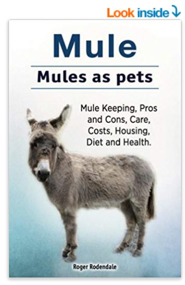 Mulography's tweet photo. Is it just me, or ... do you also not find yourself filled with confidence when they've put the wrong animal on the cover of a how to guide? https://t.co/idKD1v0Scj