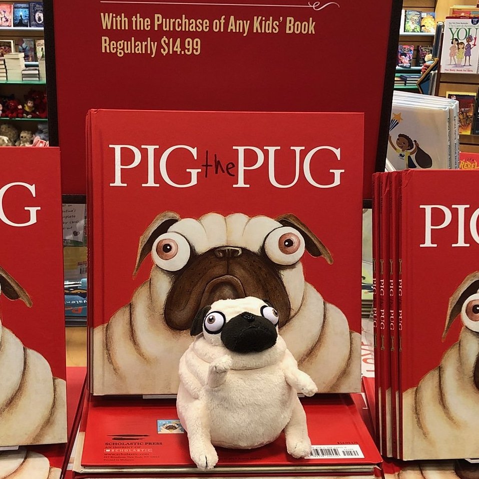 There is so much happening at Barnes & Noble Dublin today!
First, while supplies last, you can get this adorable Pig the Pug plush free with the purchase of any book in the Pig the Pug library!

#bndublin #bnbuzz #pigthepug #picturebooks
#booklove #pugs