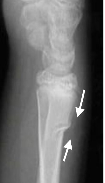 Nev Davies tweet media