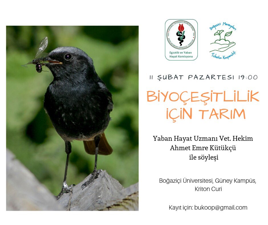 Egzotik ve Yaban Hayat komisyonumuz üyesi Vet. Hek. Ahmet Emre Kütükçü Boğaziçi Üniversitesi’nde @bukoop’un düzenlediği söyleşide biyoçeşitliliği destekleyici tarım uygulamalarını anlatacak. @yabanhayatvet
