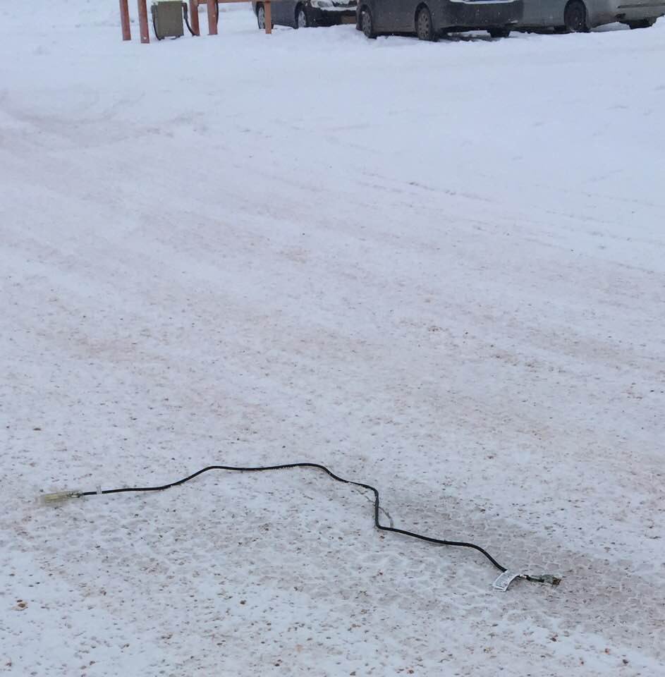 Scott Moe On Twitter Keep An Eye Out For The Seasonal Local Wildlife Such As The Sk Snow Snake Often Found In The Middle Of The Road Especially During Cold Snaps Approach