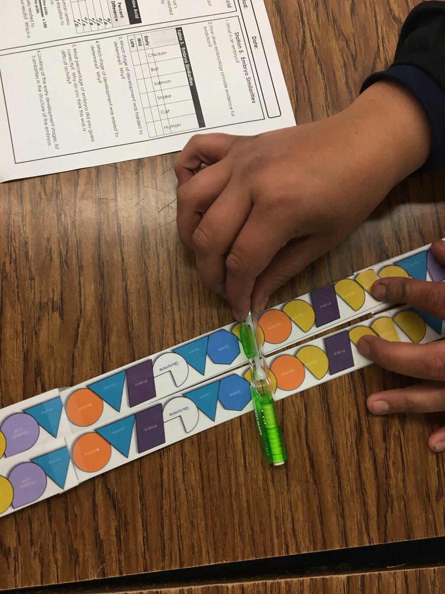 nattydempsey's tweet photo. #HASPI for the win! This hands-on evidence for #evolution lab is really great! Ss are doing all the work and some of it is failure driven #failforward #HHSsped #teachbiology #OUHSD https://t.co/lAy3qvEWjj