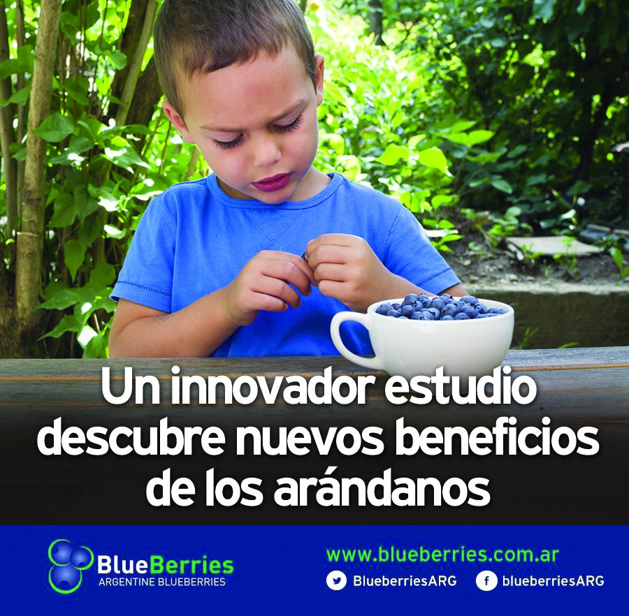 BlueberriesARG's tweet photo. 👍Un innovador estudio descubre nuevos beneficios de los arándanos
💜Sugiere que los arándanos pueden tener un efecto significativo sobre la memoria y la atención de los niños.
👉https://t.co/5MbP3ZqkEi https://t.co/OujgNqr2kM