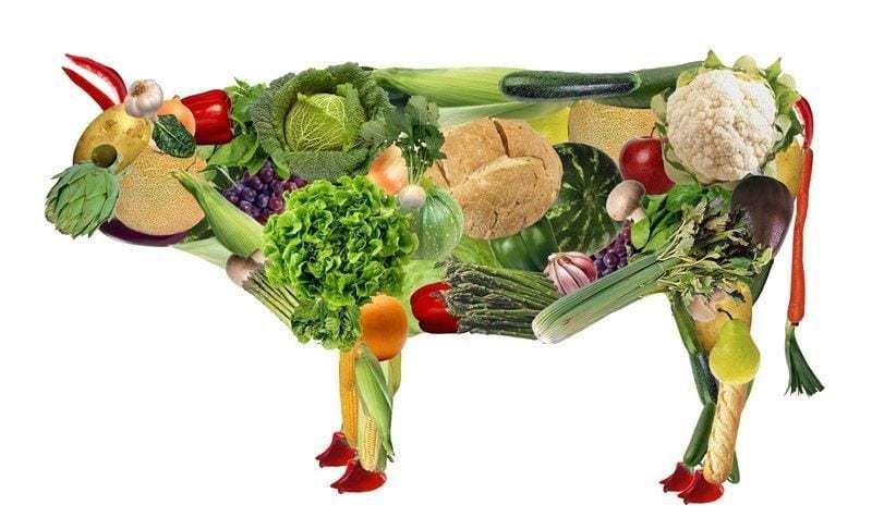 Brotes_Rojos's tweet photo. Vegano 😎 😎 #vegano https://t.co/c9dgDppI4p