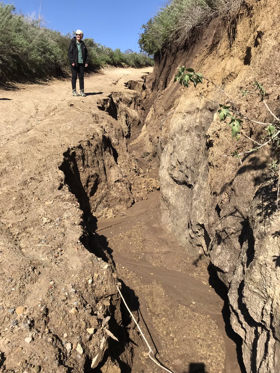 OCParks's tweet photo. Still waiting for trails to reopen, but wanted to share pics of severe erosion on Canyon Acres at Aliso &amp; Wood. Once trails reopen, this will remain closed for repairs. Trails status: https://t.co/n5BhayCeMs https://t.co/EDJADVsnC9