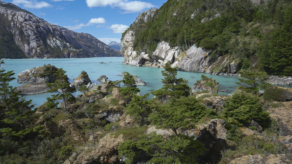 pewenvironment's tweet photo. Meet Chile’s newest protected areas: Kawésqar National Park and Kawésqar National Reserve. The 6.9 million acre park makes it the country’s second largest, with the reserve protecting an additional 6.4 million marine acres.
https://t.co/JlX9n14enJ https://t.co/1PuUCFqD1O