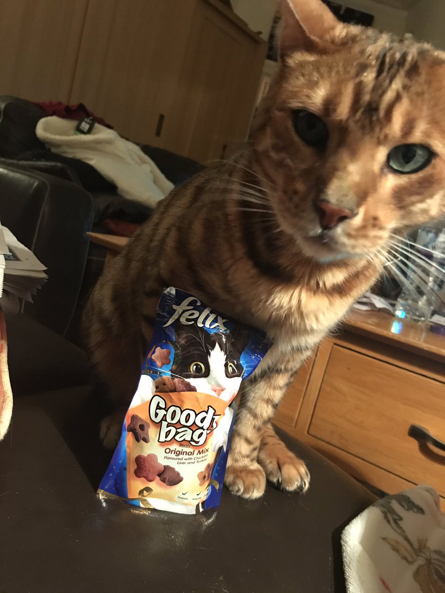 Frankiethecate's tweet photo. Snacke tiem!! #notsponsord https://t.co/0TLg52ZYmU