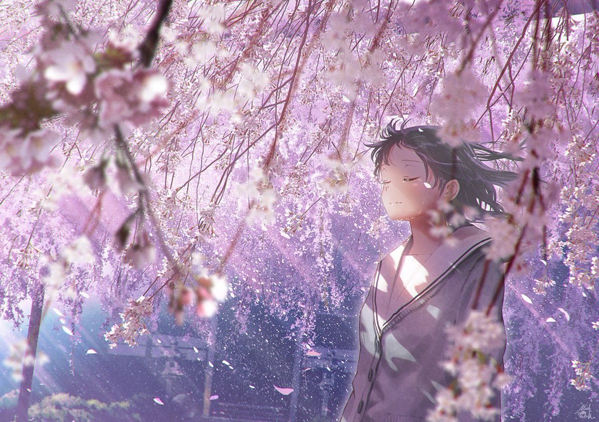 Mocha ネオケット B 11 桜包み 個人風景画集 Background Artworks 描きおろし作品 Pixiv T Co R3wuleknjc