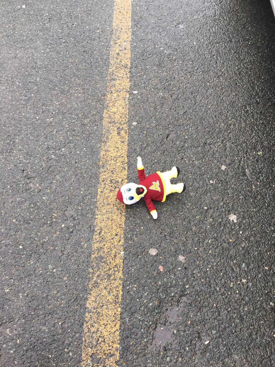 accsuper55's tweet photo. What’s Mr. Duck up to? Haven’t even started playing yet and he is getting already practicing for George Street! https://t.co/1rmLc6asAW