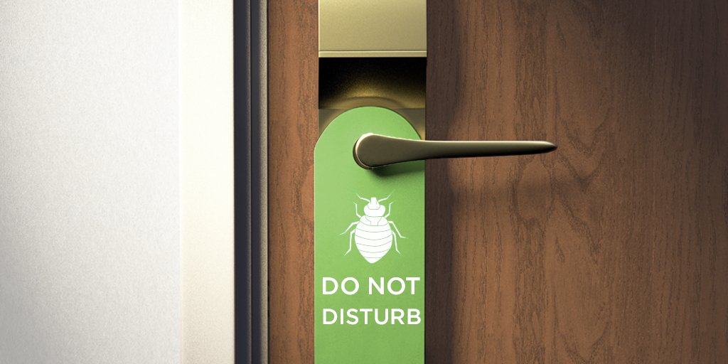 bug_proof's tweet image. You&apos;re on vacation and next thing you know... bed bugs! Take photos of #bites and #bugs, notify the property owner and request a room change. Make the problem known and help the next guest avoid these pesky bugs too. 

#BedBugs #TravelTips #PestControl