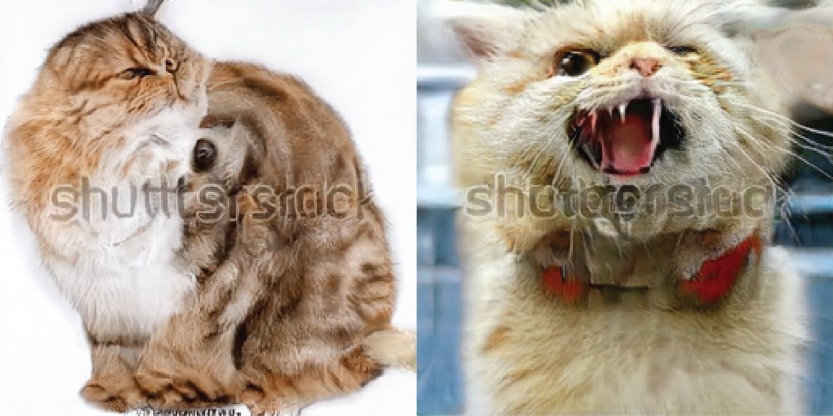 JanelleCShane's tweet image. When #StyleGAN learned to generate cats, it learned from the Internet.
aiweirdness.com/post/182633984…
#GANcats