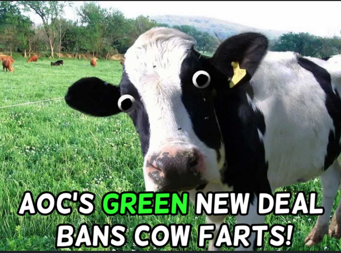 Green New Deal also plans to eliminate farting cows