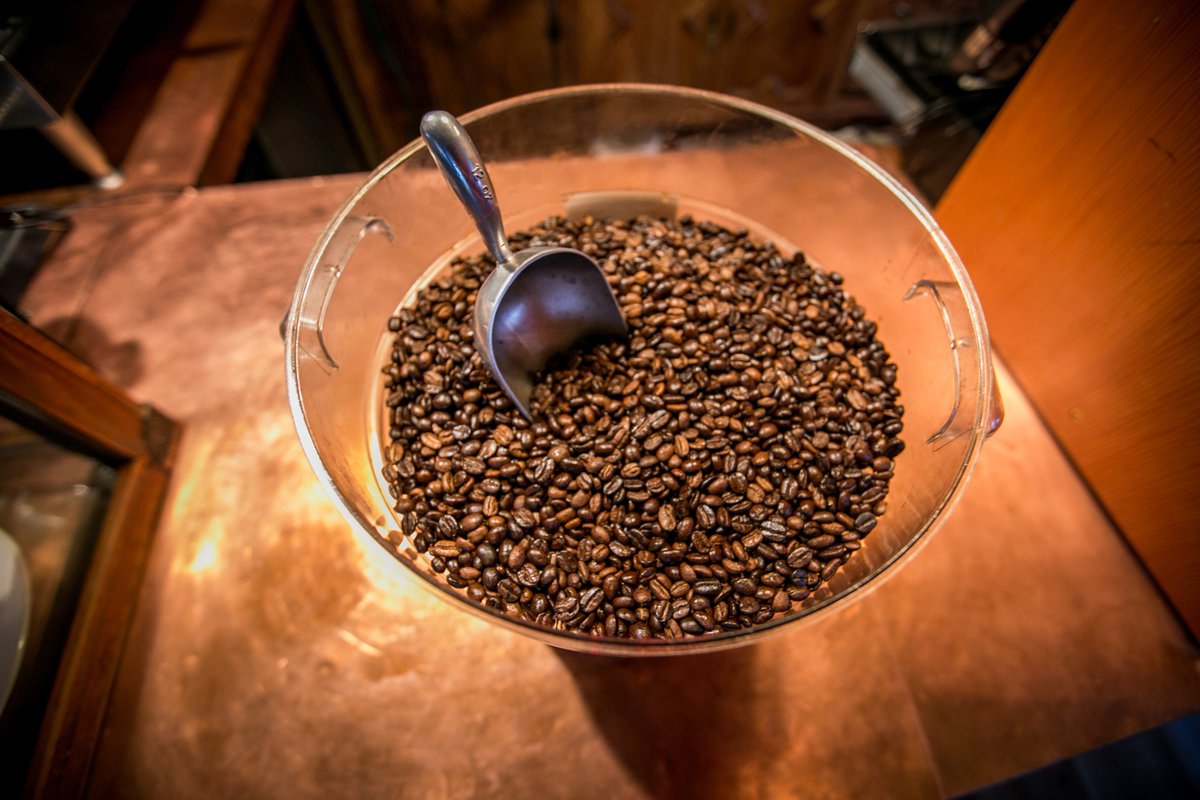 SleepyMonkCB's tweet photo. Make sure you stop by Sleepy Monk Coffee Roasters to stock up on some coffee before the weekend, just in case you get snowed in! 🌬️ ☕🌨️

#sleepymonkcoffeeroasters #sleepymonkcoffee #bulkcoffee #coffee #cannonbeach #oregoncoast #winter #snow #oregoncoffeeshops #snowcoffee #☕ https://t.co/RYXD2CxuM2