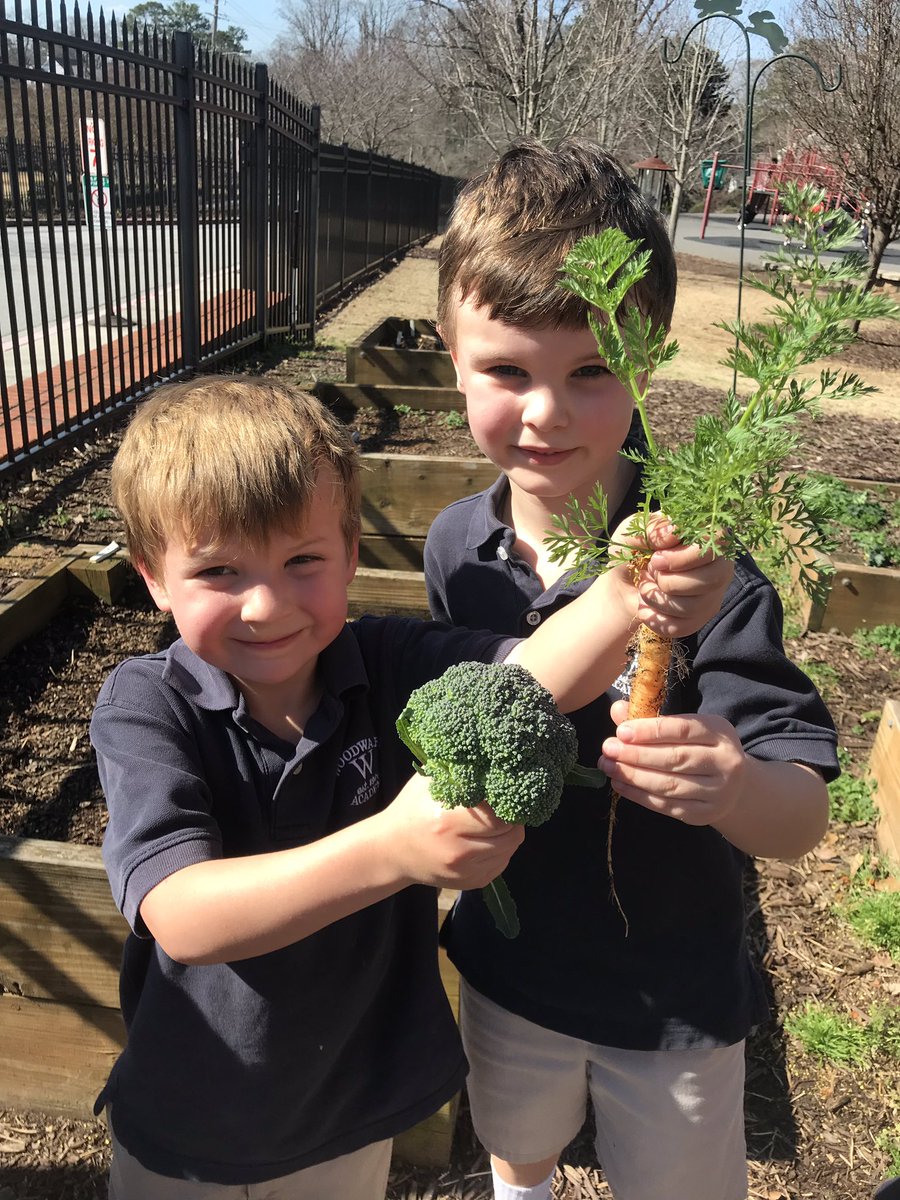 Peggy Hardy tweet media