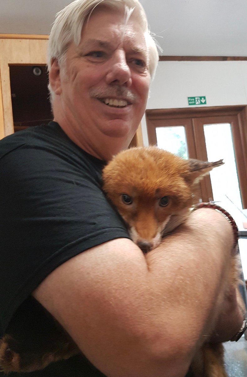 LMW_Hospital's tweet image. ALICE AND RIFT UPDATE - REWARD CONDITIONS

The £5610 reward will be paid on the live return of the foxes to us, no questions will be asked as to where they have been or who took them. The money will be paid to whoever ensures their return alive. Your information may be crucial.