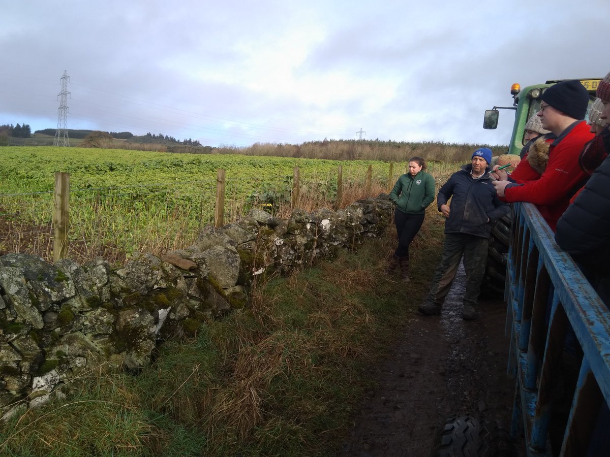 RockcliffeLuing's tweet photo. Good trip on Wednesday with college to the Thompson's farm to see the Tillyrie herd. Good too see one of our old girls still doing well - best cow on the farm 🙄😂 #sruc #kinross #luing #simluing https://t.co/sjf8LQCBDQ