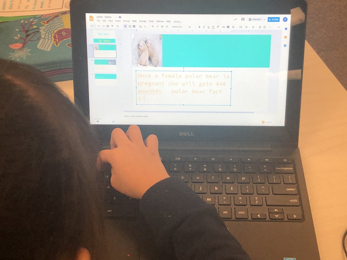 SLarios_FLC's tweet photo. After learning about Polar Bears in Reading and learning about their habitats in Science, students are creating a google slide show to present to their kindergarten friends on Friday for their Endangered Species Project🤗 #ConnectItAll #believeinFLC https://t.co/kH7TWN2eQg