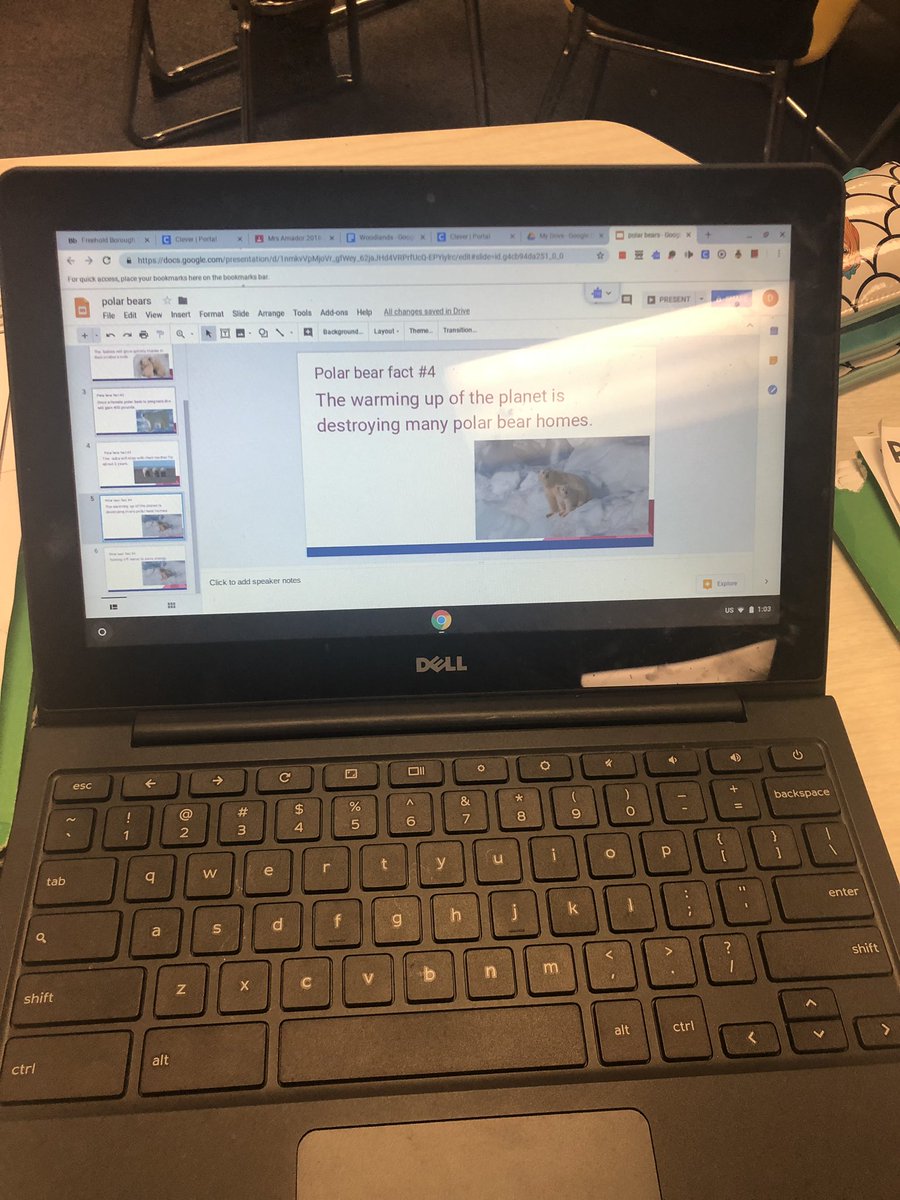 SLarios_FLC's tweet photo. After learning about Polar Bears in Reading and learning about their habitats in Science, students are creating a google slide show to present to their kindergarten friends on Friday for their Endangered Species Project🤗 #ConnectItAll #believeinFLC https://t.co/kH7TWN2eQg