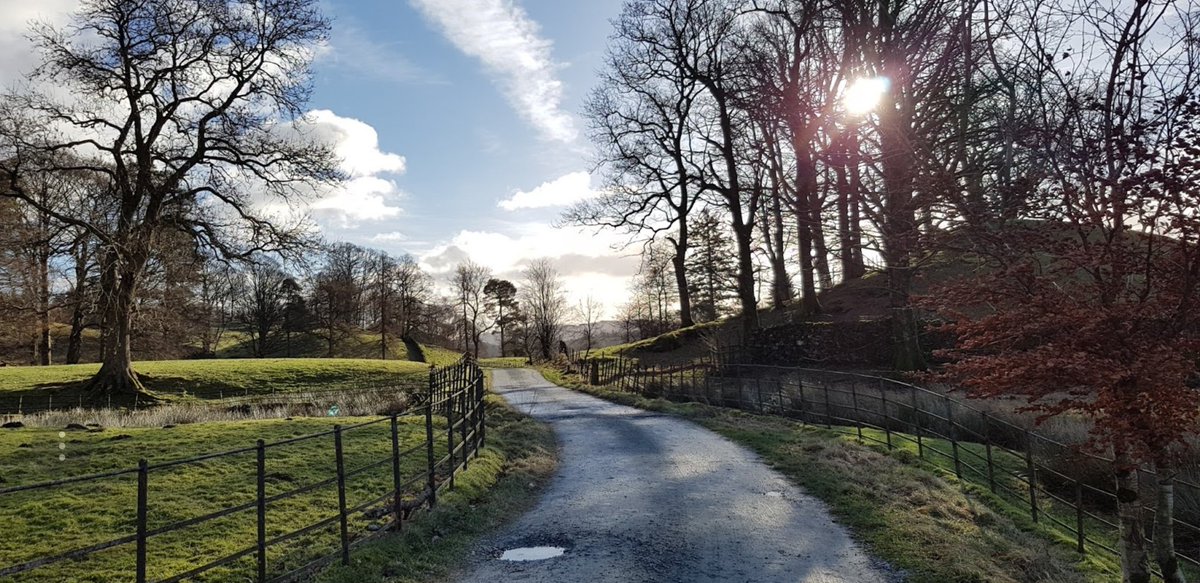 Beth Pipe tweet media