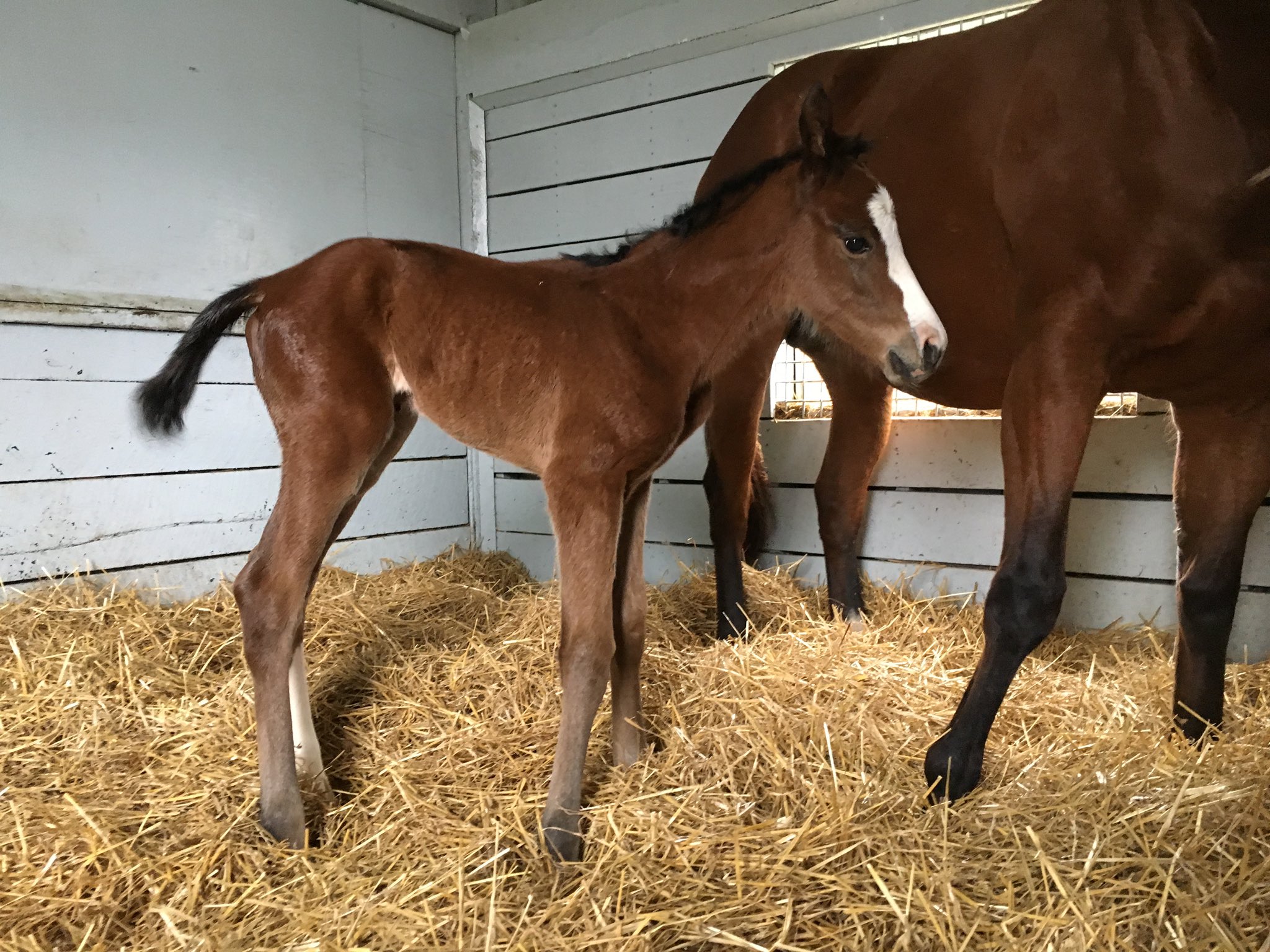 Jaime Roth on Twitter: