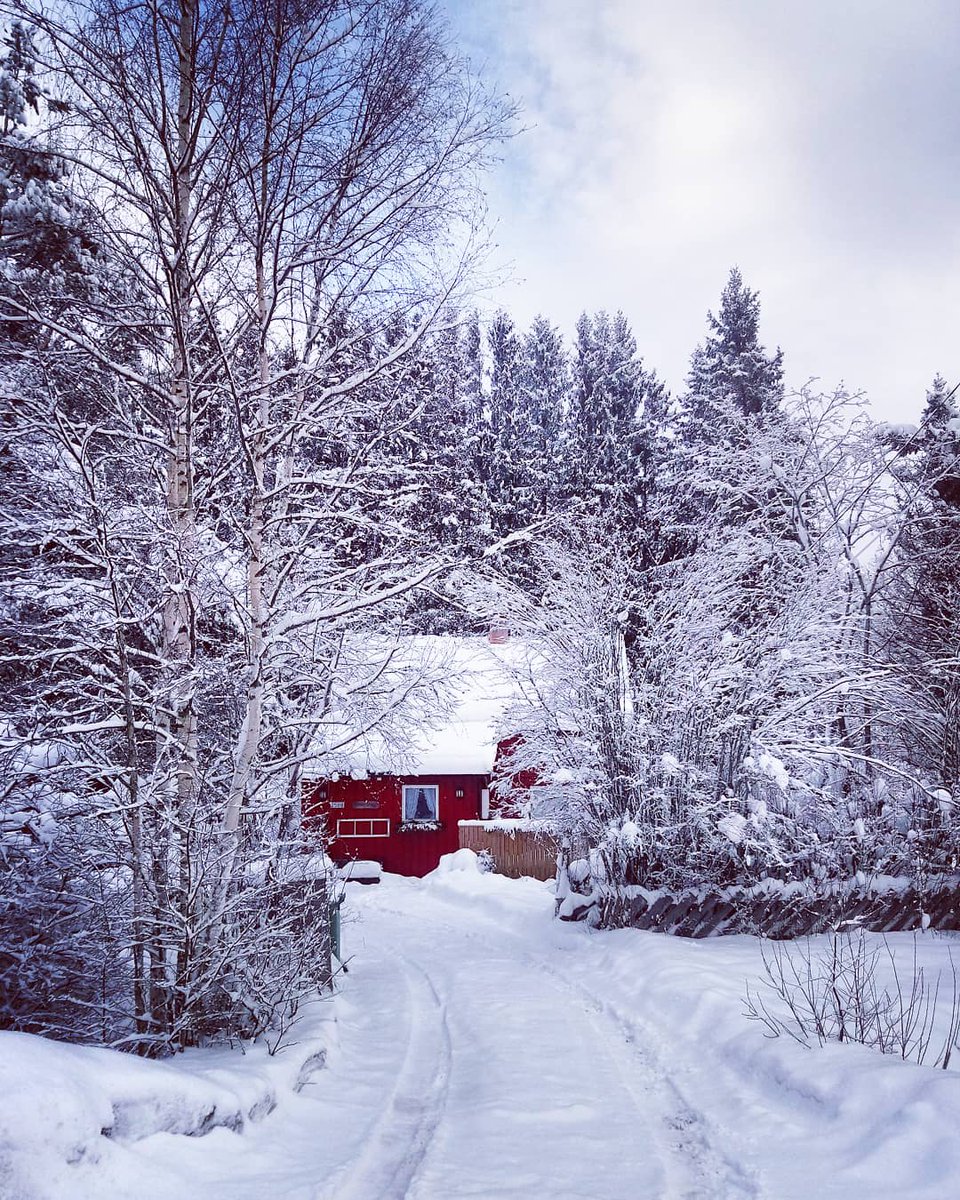 JanneNordvang's tweet photo. Note to self: Sell house,move to Hawaii.
#NotBikiniSeasonJustYet #StopSnowingPlease #winterwonderlandMyAss #ColdFeetAllDayEveryDay https://t.co/AnDCsjL3eY