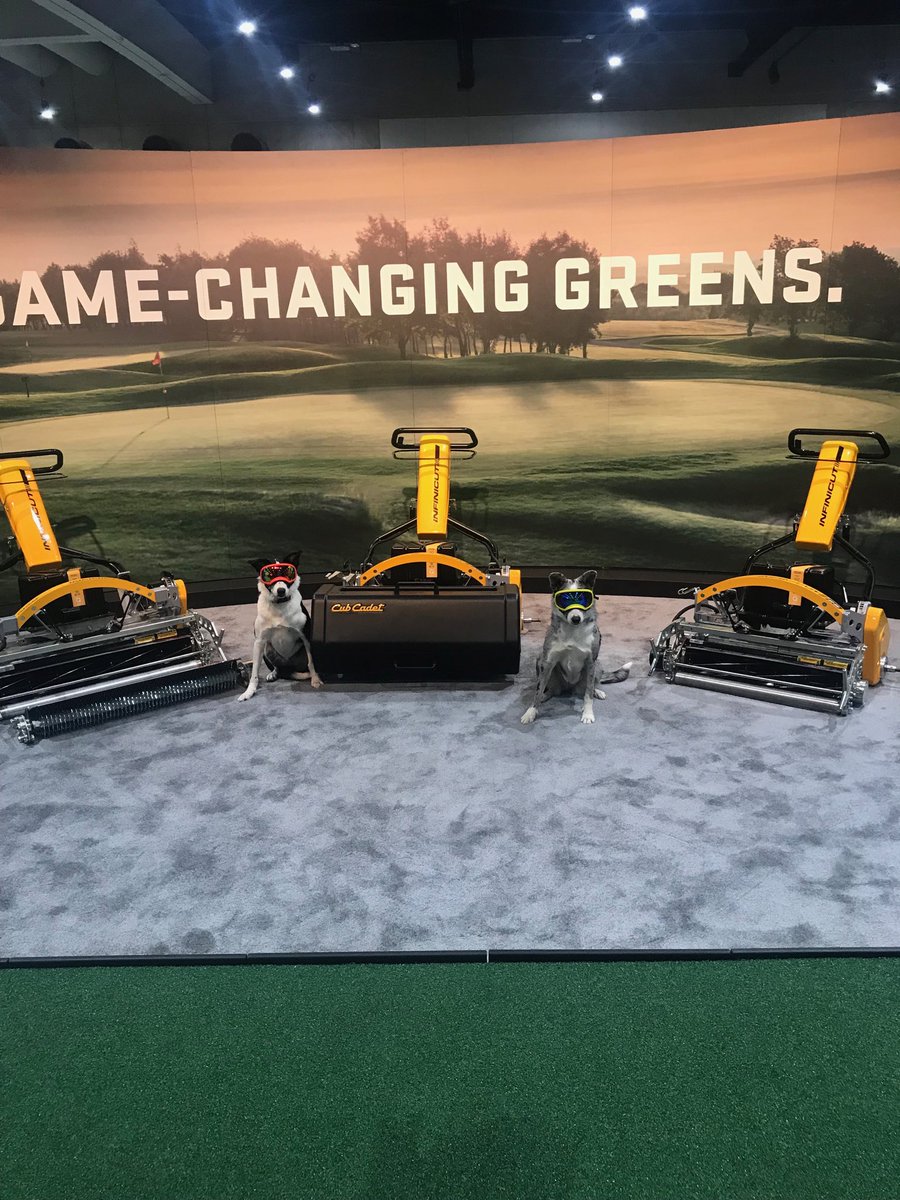 Michael Holohan tweet media