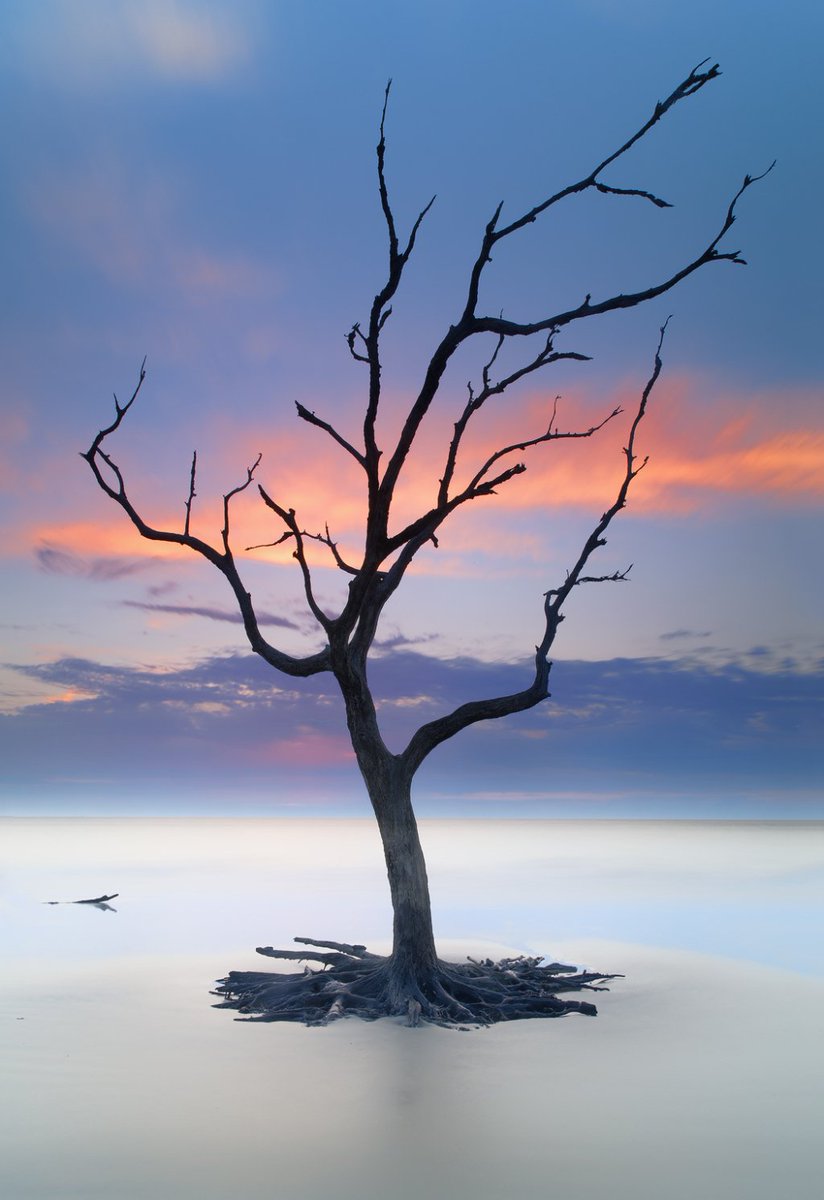 LensWorkGallery tweet picture