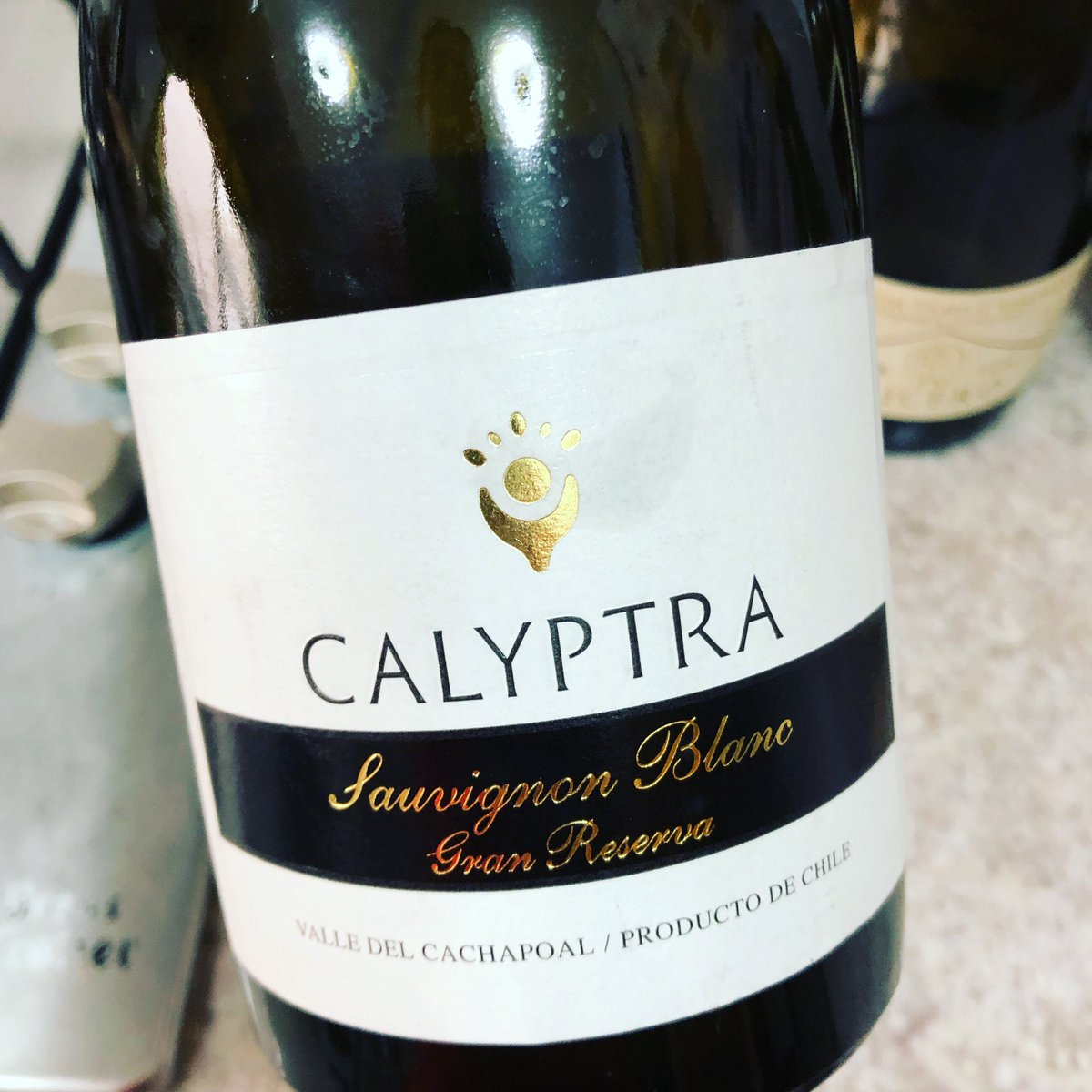 One of Chile’s best whites! <a href="/CalyptraWines/">Calyptra</a> Sauv. Blanc Gran Reserva 2009. Rubbery, some smoke in the beginning. Then beautiful white fruits. Extremely long.