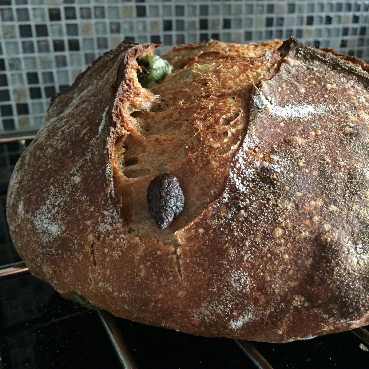 chefnathanlyon's tweet photo. Is it wrong to eat half a loaf of whole grain olive #sourdough for dinner? I didn’t think so. @bartonspringsm @LodgeCastIron @kingarthurflour #olive #longfermented https://t.co/STfecUCeH1