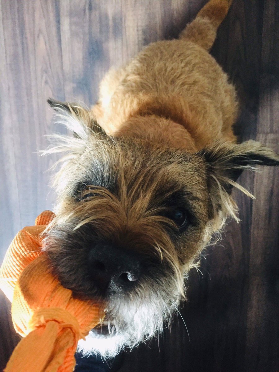 Geez it! #weebroondug #itsgood2give #btposse
