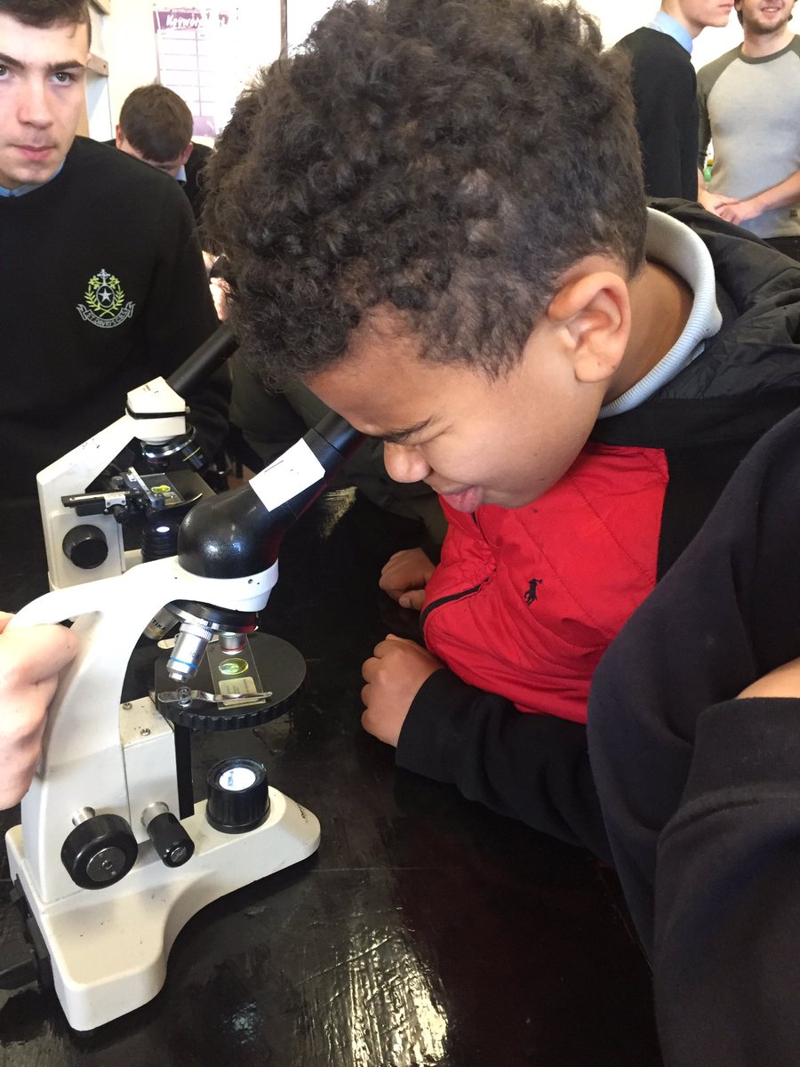 MsMcCarthy10's tweet photo. Big thanks to @stdavidscbs for having the boys in for some science experiments, they really enjoyed it! ☺️ https://t.co/ECG3tpCsWH
