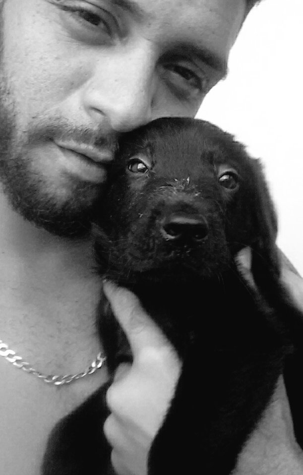 Rhuan85540561's tweet photo. @Marley 💙🐶🐕 https://t.co/DC6a1XSsEH
