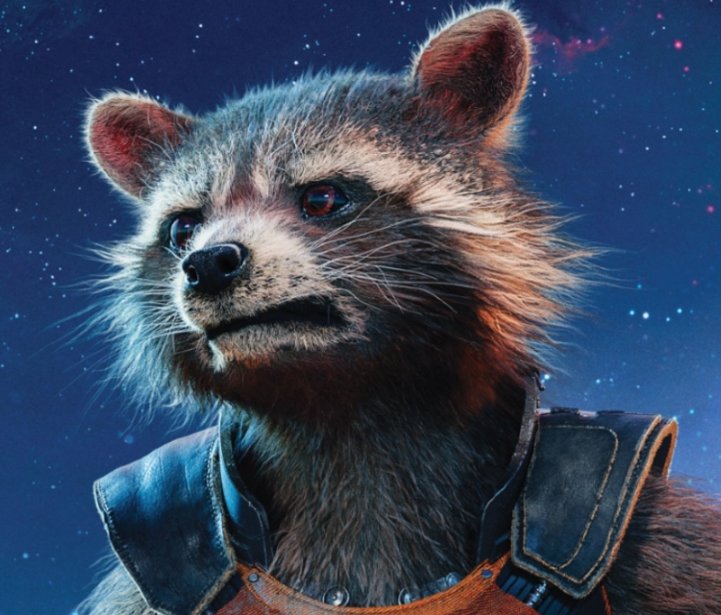 getFANDOM's tweet image. Mr. Oreo, the real life model for Rocket Raccoon passed away this morning at the age of 10

(via Quinta Layla | Facebook)