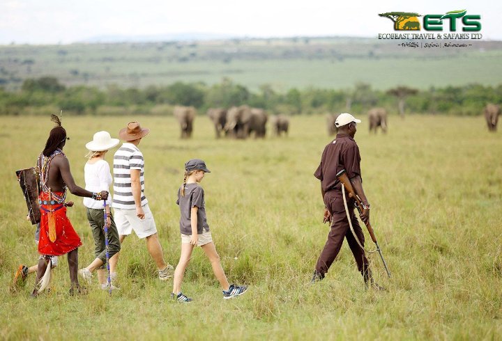 People and wildlife