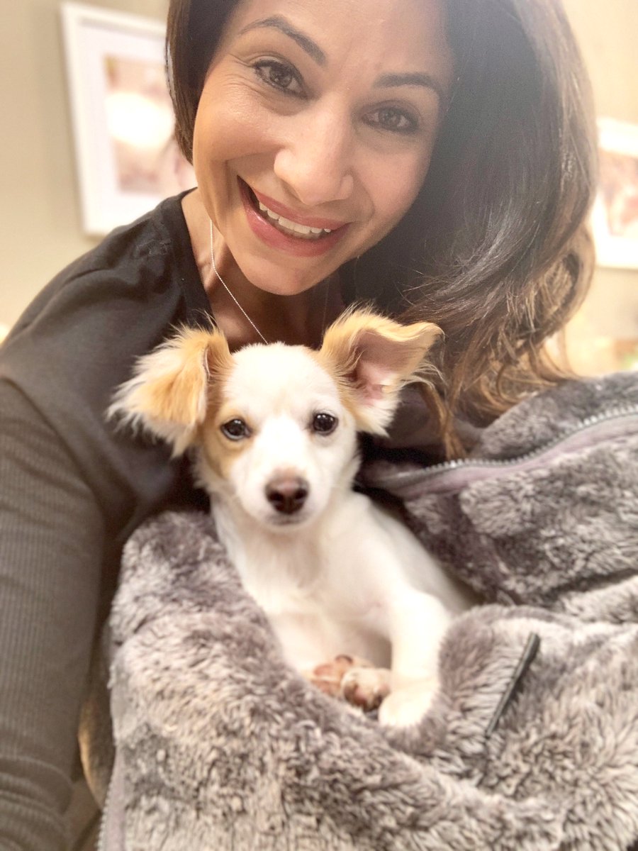 VAMC_LAPS's tweet photo. How could you resist this little face?! Our sweet Archie boy was featured on Hallmark’s Home and Family Adoption Ever After Special yesterday and we can’t wait to find him his fur-ever home! #adoptdontshop #animals #puppy #dog #puppylove #animalrescue #losangeles #adoption #love https://t.co/RJ2akjc7Az