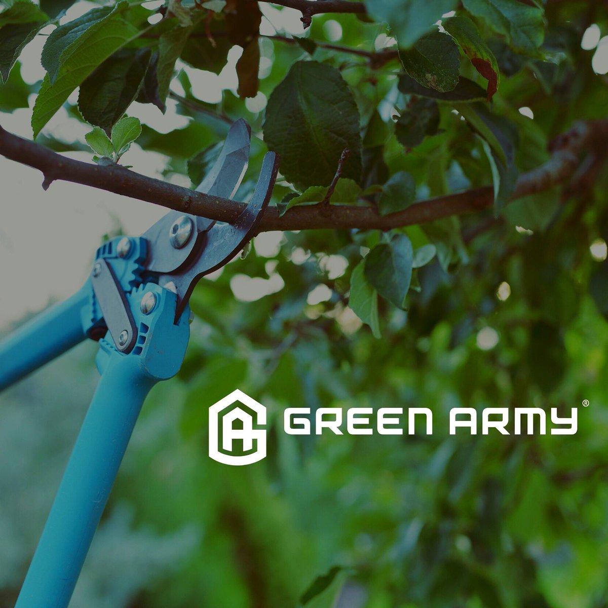 GreenArmyPest's tweet photo. To prevent pests from entering your home, keep tree branches and shrubbery well trimmed and away from the house. #greenarmyhome #pesttips #hometips #atlanta #dallas #houston https://t.co/8O3dHu6ALO
