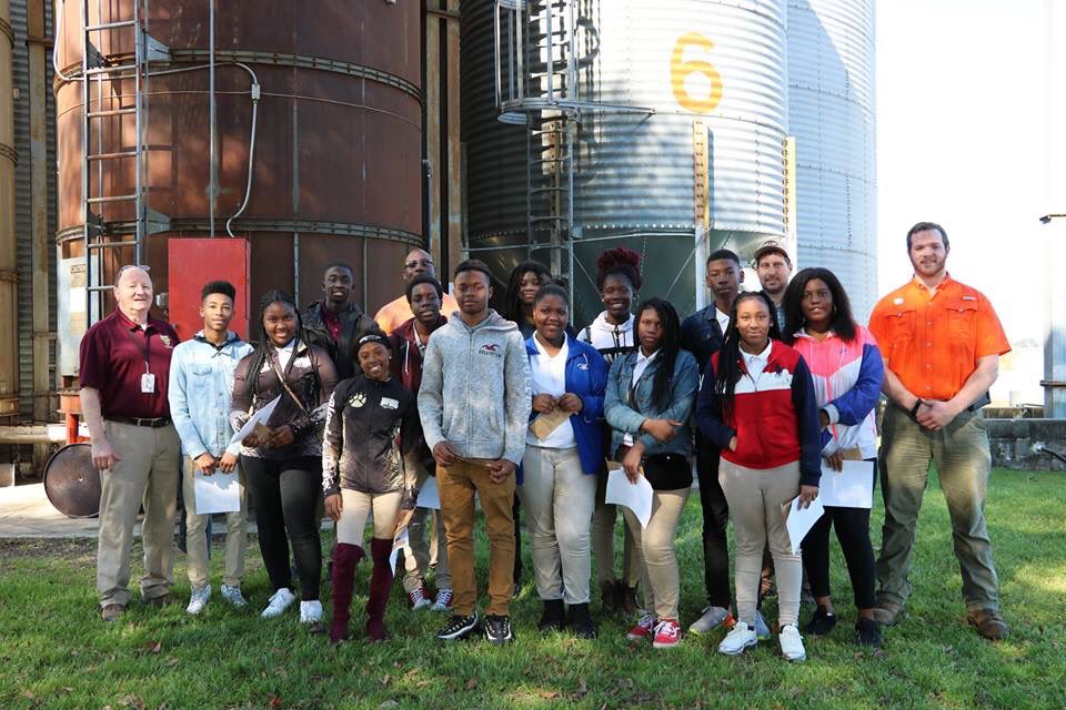 online the software life cycle