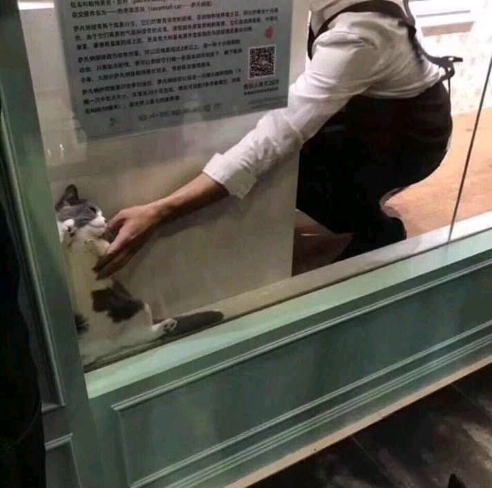 ialternativee's tweet image. Cuánto estás tan a gusto disfrutando con la soledad y la depresión, pero llega alguien a querer sacarte de allí.