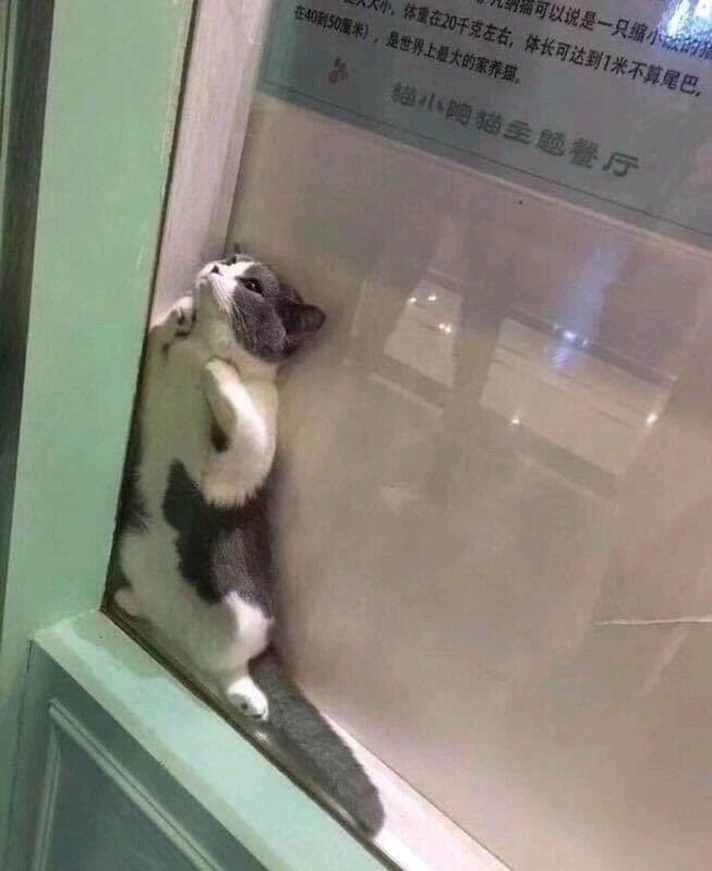 ialternativee's tweet image. Cuánto estás tan a gusto disfrutando con la soledad y la depresión, pero llega alguien a querer sacarte de allí.