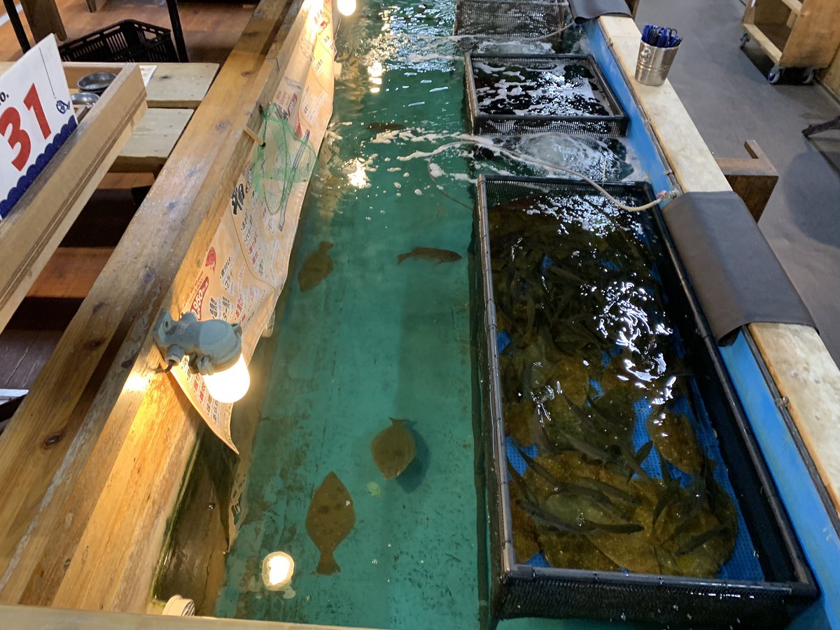 BigtownFishing's tweet photo. Watch out! If you accidentally catch a “luxury fish” in the Japanese fishing restaurant, you have to pay for it. It was kind of a gamble. Fortunately I caught a cheap and tasty one. #zaoushinjuku #zaou #shinjuku #japan #tokyo #fishing #catchandcook #fish @girlskickinbass @SGumpa https://t.co/IHensd5xDx