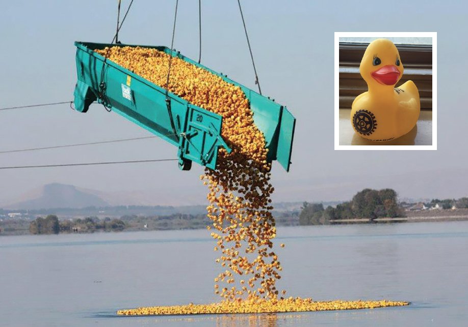 Since 1989, the Mid-Columbia Duck Race in Washington state has brought. 