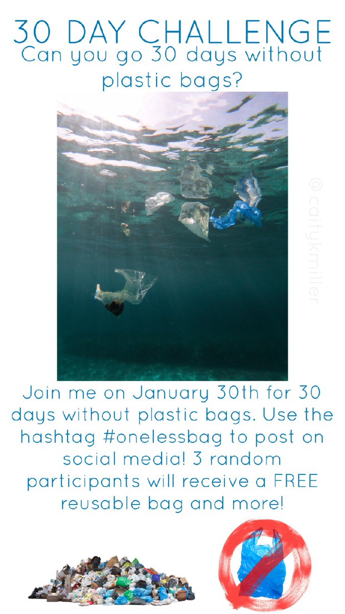 VIPCenter_SU's tweet photo. Support @caitykmiller and her #onelessbag challenge on campus! Post to social media and use the hashtag #onelessbag you will be entered to win a reusable bag! https://t.co/by4sjpbvAp