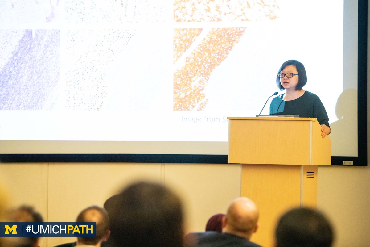 Dr. Xiaoming Wang of #ChinnaiyanLab #MCTP shares 'A Novel Lineage and Cancer Specific Long Non-Coding RNA for Detection of Metastatic and Primary Chromophobe Renal Cell Carcinoma.'